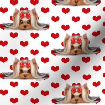 Yorkie Beauty red hearts white M
