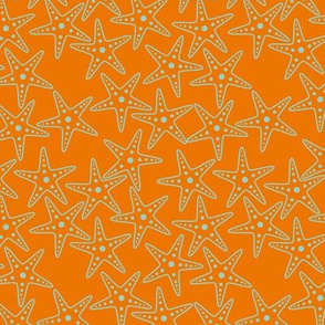 Starfish Background (light teal on orange)