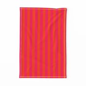 Neon Orange and Pink Vertical Stripes