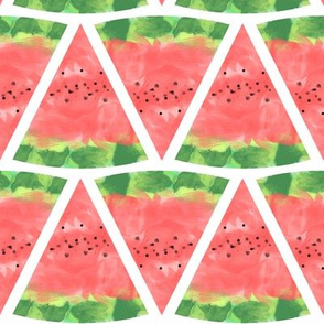 Watermelon Watercolor Pink and Green