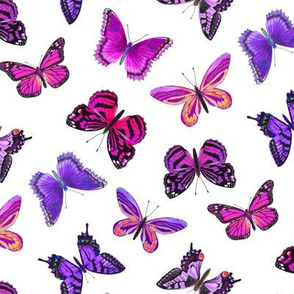 Warm Butterflies in Reds and Purples