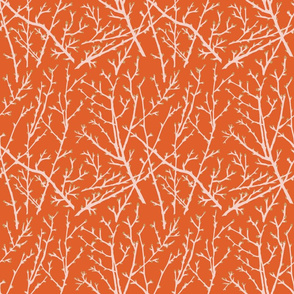 branchy - orange-blush/branch/straw