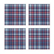 plaid navy and red america usa gingham plaid fabric navy