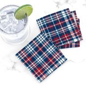 plaid navy and red america usa gingham plaid fabric navy