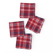 plaid navy and red america usa gingham plaid fabric