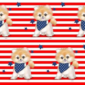 Patriotic Pomeranian Stripes M