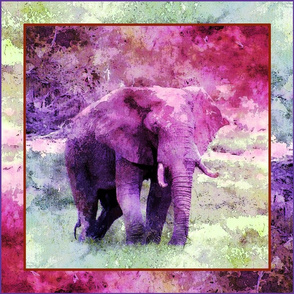 AFRICA WILD ELEPHANT SQUARE FRAMED PANEL