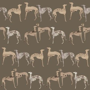 greyhounds, "poets and philosophers", 2 brown