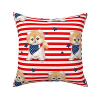Patriotic Pomeranian Stripes L