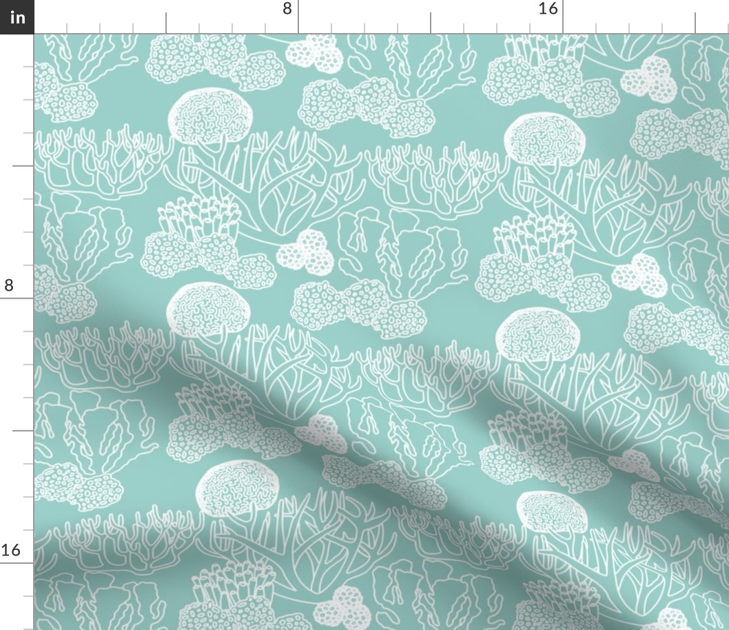 Coral (white on light teal)
