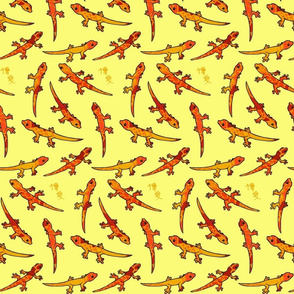 Yellow lava gecko