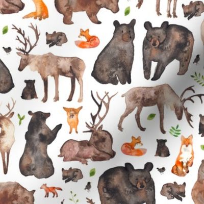 Woodland Animals