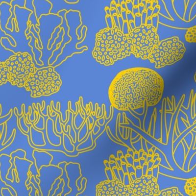 Coral (yellow on mid blue)