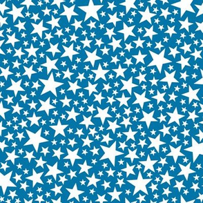 Star Shower* (White on Blue Liz)