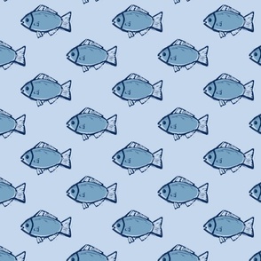 Regular Fish Pattern 2