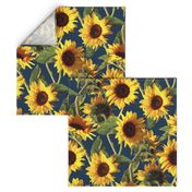 Sunflowers on Dark Blue