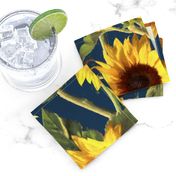 Sunflowers on Dark Blue