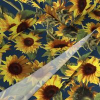 Sunflowers on Dark Blue