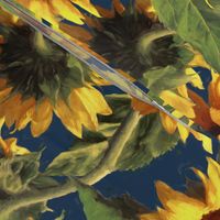 Sunflowers on Dark Blue