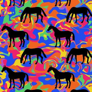 Elegant Black Horses on Rainbow