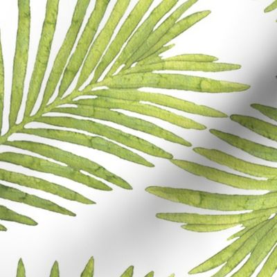 Watercolor Palm Leaves - White