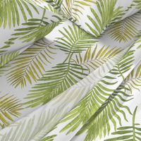 Watercolor Palm Leaves - White