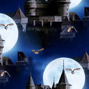 castle and owls (bojnice castle/slowakia) - potter's world