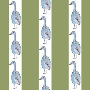  blue goose