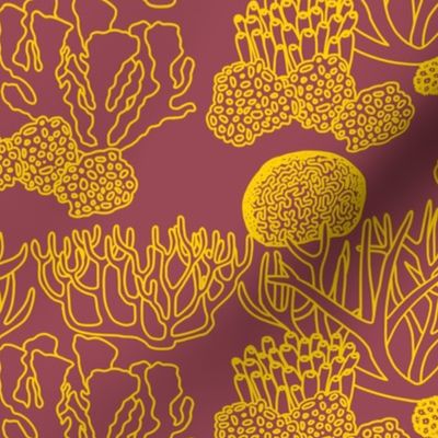 Coral (yellow on dark mauve)