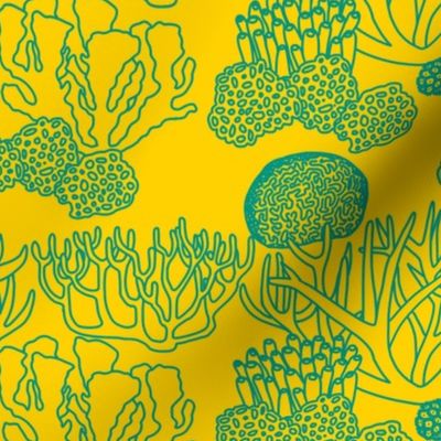 Coral (teal on yellow)