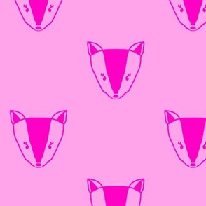 Pretty Pink Fox Faces