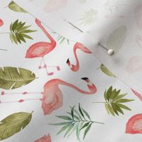 Tropical Flamingos scattered