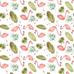 Tropical Flamingos scattered