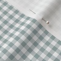 1/4" Eucalyptus Leaf Green Gingham Checks 