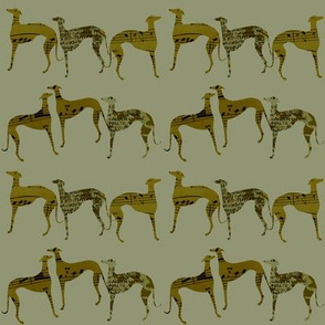 greyhounds, " poets and philosophers", green, green, brown