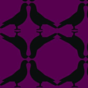 Pigeon Circles-BkP