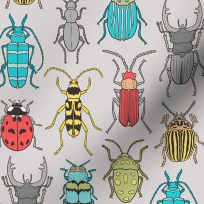 Beetles Insects Forest Bugs on Grey