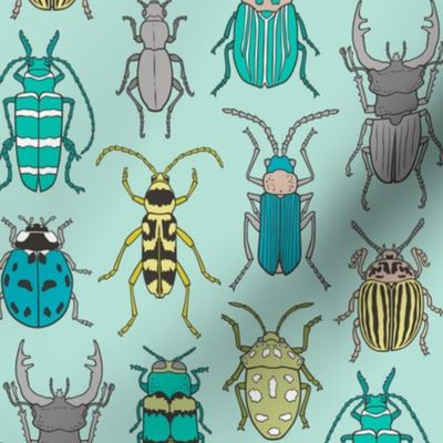 Beetles Insects Forest Bugs on Mint Green