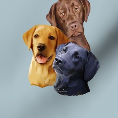 Labrador Retriever Three colors