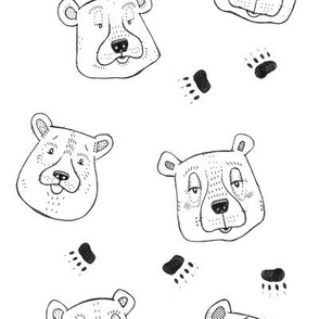 Bears and Paw Prints