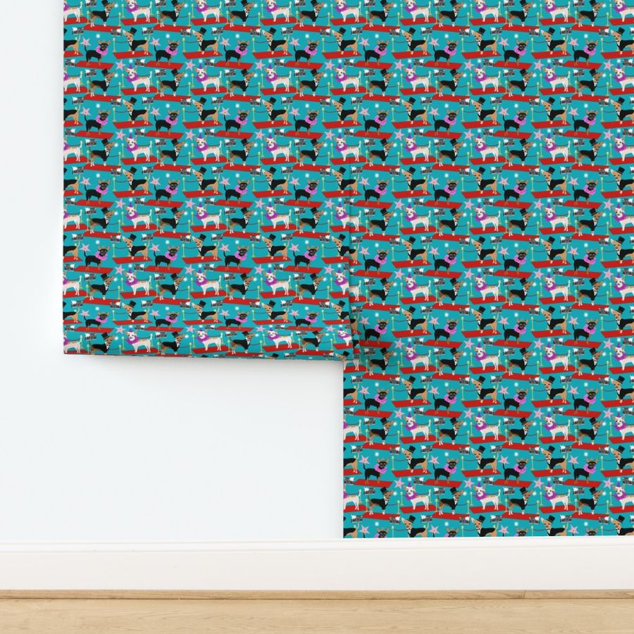 chihuahua fashion show dog fabric red carpet fashion star fabrics - turquoise