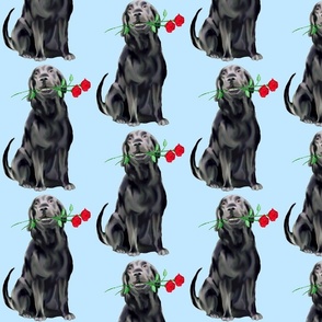 Black Lab And Roses