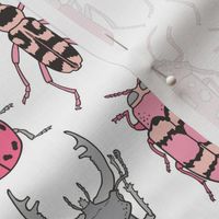 Beetles Insects Forest Bugs Pink on White 