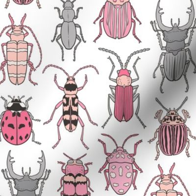 Beetles Insects Forest Bugs Pink on White 