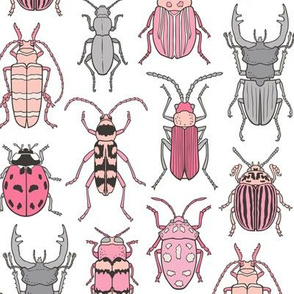 Beetles Insects Forest Bugs Pink on White 
