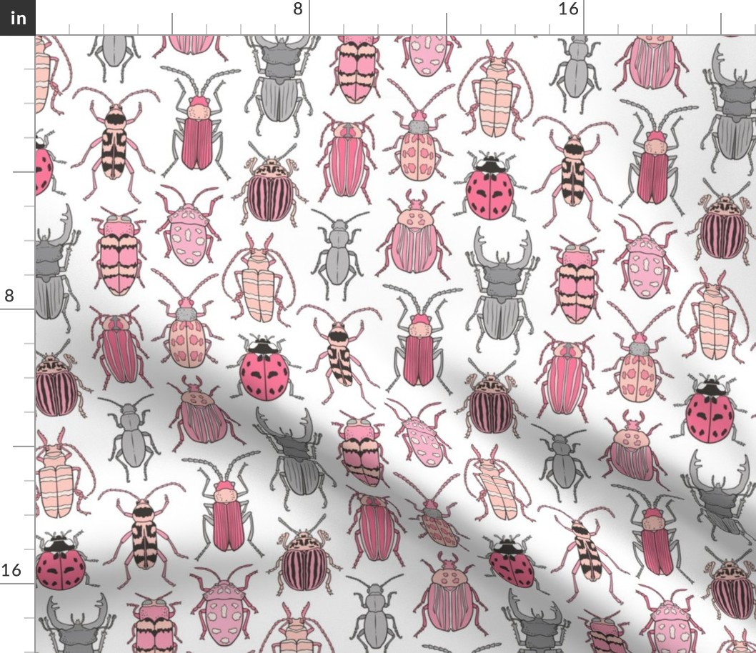 Beetles Insects Forest Bugs Pink on White 