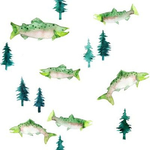 Pacific Northwest Salmon