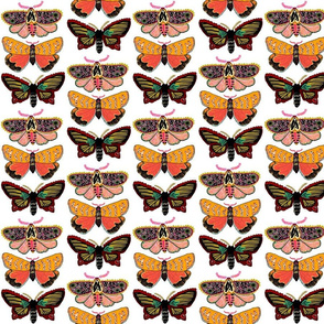 butterflies 1