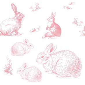 12" Barb's Bunnies / Pink