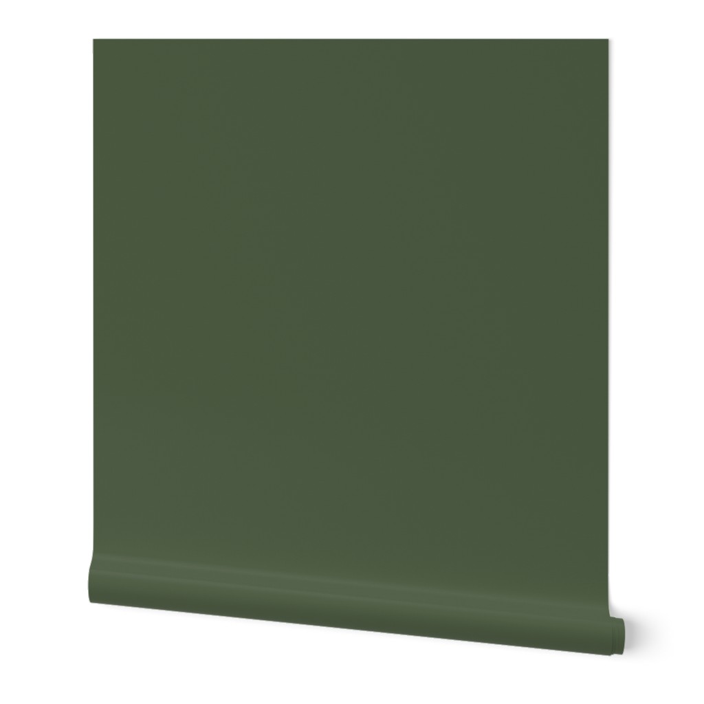 solid Bayeux olive green (4F5D44)